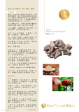 野生三七 <br>Radix Notoginseng<br><span style="color: #c19674;">預購</span>