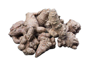 野生三七 <br>Radix Notoginseng<br><span style="color: #c19674;">預購</span>