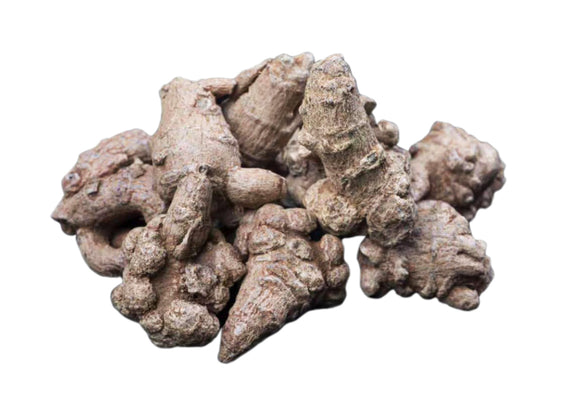 野生三七 <br>Radix Notoginseng<br><span style=