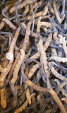 野生冬蟲夏草 (四等級) <br>Wild Cordyceps (Grade 4)<br><span style="color: #c19674;">預購</span>