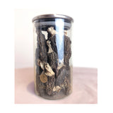 野生羊肚菌 <br>Morel Mushroom