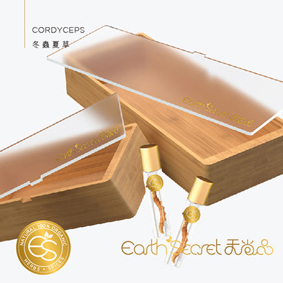 野生冬蟲夏草 (四等級) <br>Wild Cordyceps (Grade 4)<br><span style=